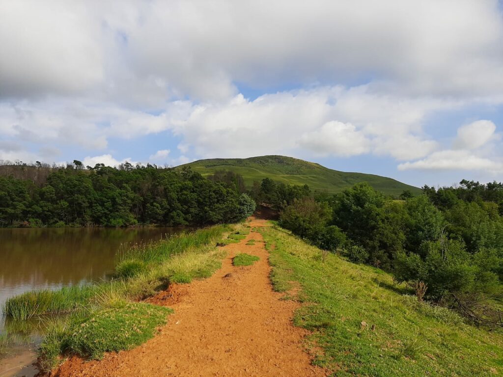 Image of the trail